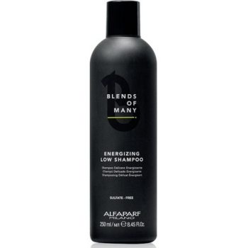 Alfaparf BLENDS OF MANY SZAMP ENERGETYZUJĄCY 250ML !